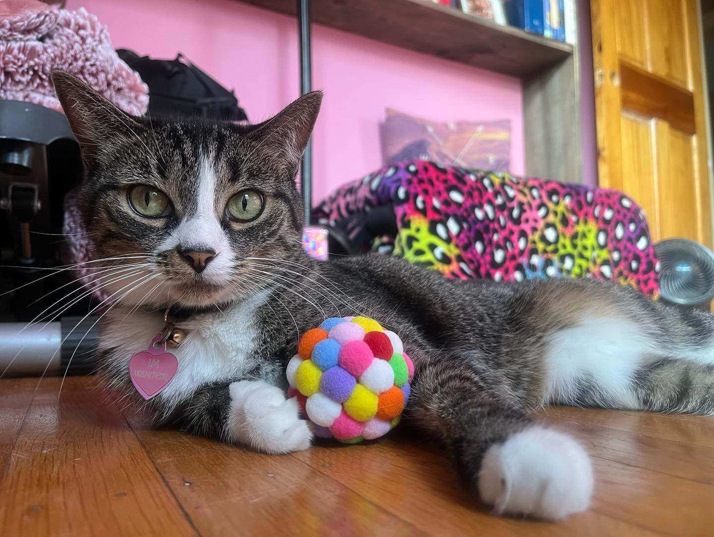 Smokey's Stash Cat Toy Plush Pom Cat Balls with Bells Inside
