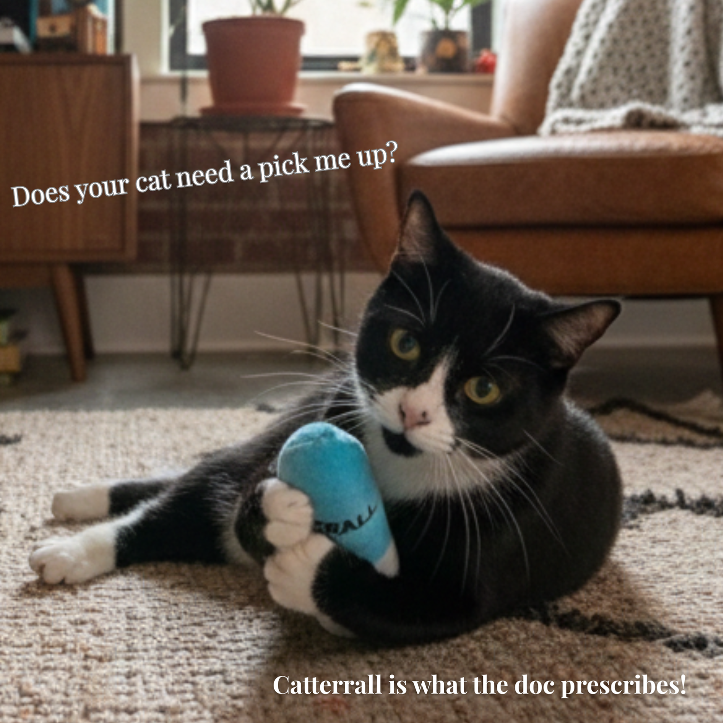 Catterall Catnip and Crinkle filled Catnip Kickers