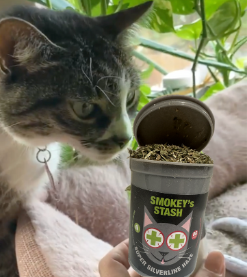 Silvervine Haze Potent Catnip and Silver Vine Blend for Cats