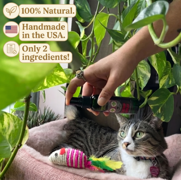 Smokey's Stash Premium Catnip Spray