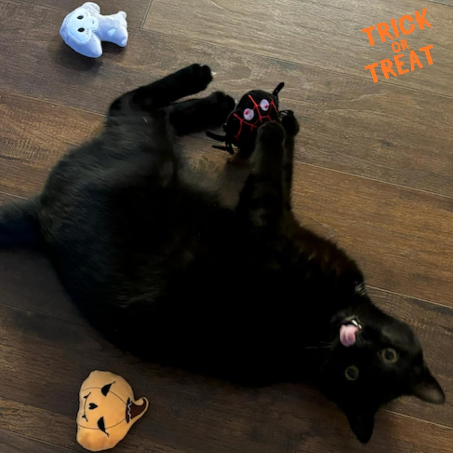 Halloween Catnip toys 5 per pack!