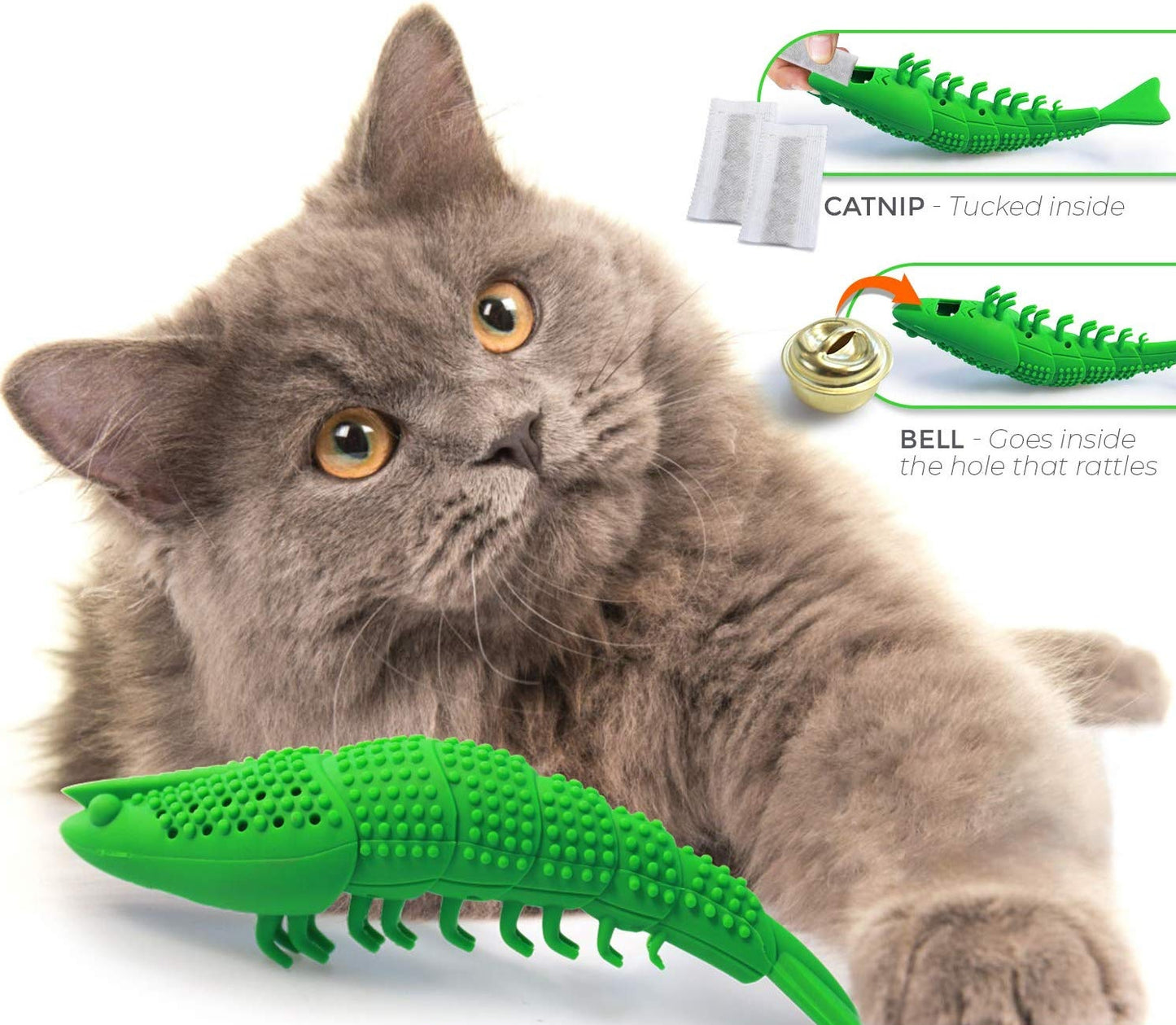 Catnip Dental chew cat Toothbrush refillable with Bell (Toy)