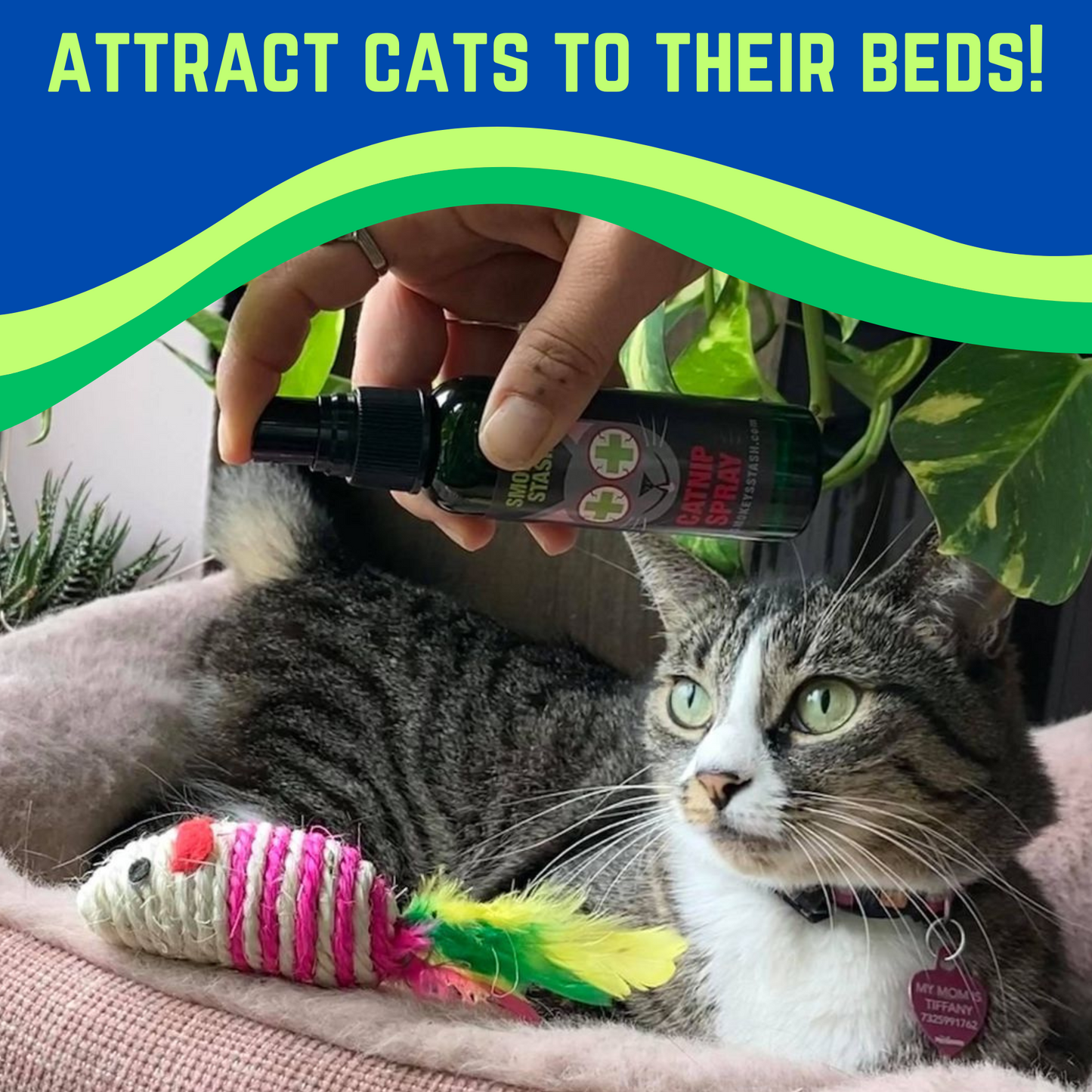 Smokey's Stash Premium Catnip Spray