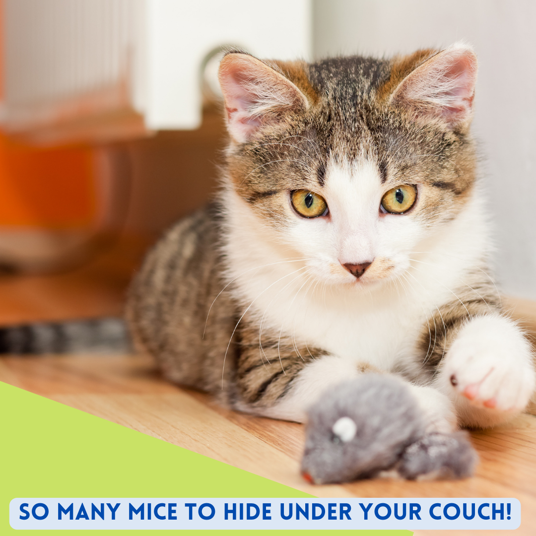 Smokey's Stash Rabbit Fur Mouse Cat Toy 12 per Pack White and Gray Fuzzy Toys for Cats with Rattle Realistic Fake mice